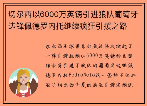 切尔西以6000万英镑引进狼队葡萄牙边锋佩德罗内托继续疯狂引援之路