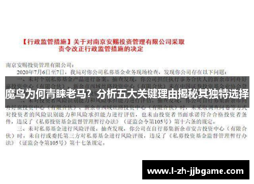 魔鸟为何青睐老马？分析五大关键理由揭秘其独特选择
